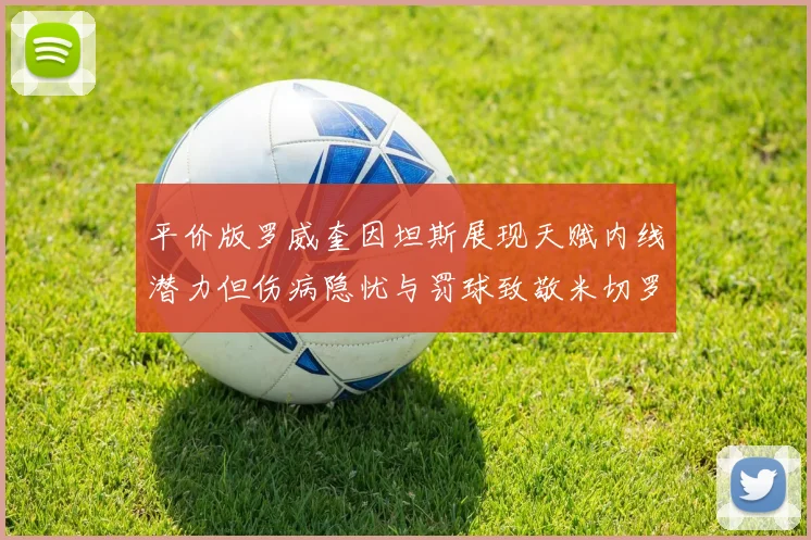 平价版罗威奎因坦斯展现天赋内线潜力但伤病隐忧与罚球致敬米切罗